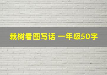 栽树看图写话 一年级50字